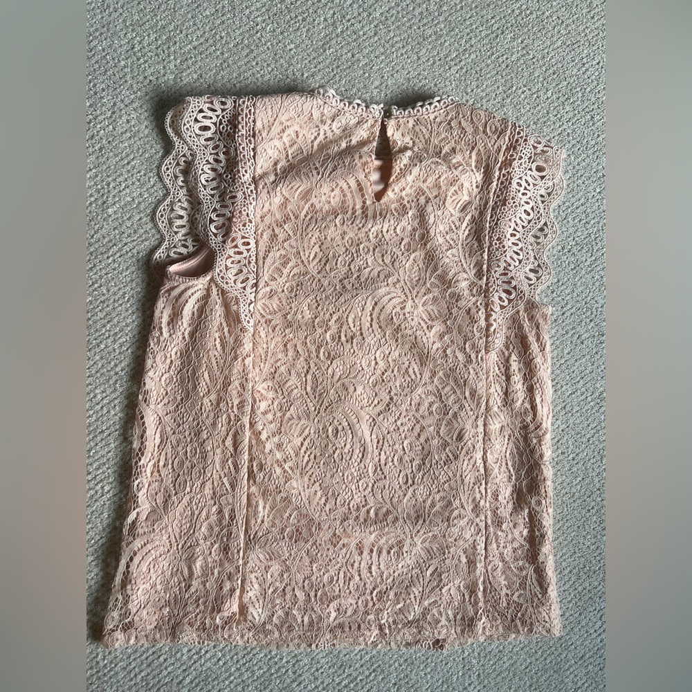 Cable & Gauge Pink Lace Sleeveless Cap Sleeve Blouse Large - Picture 8 of 11
